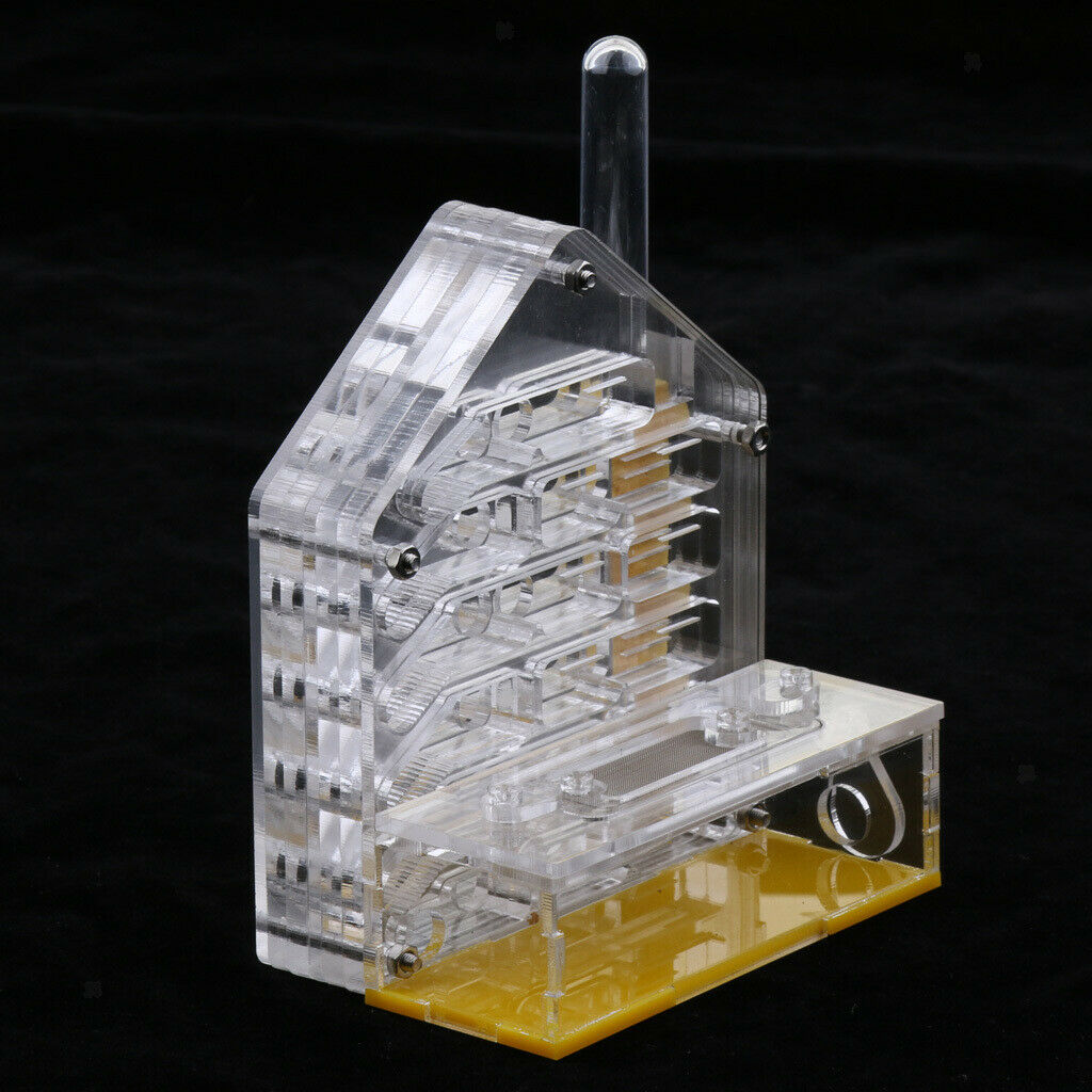 Safe & Reliable Ant Transparent 4x2x5 inch Feeding Box Formicarium