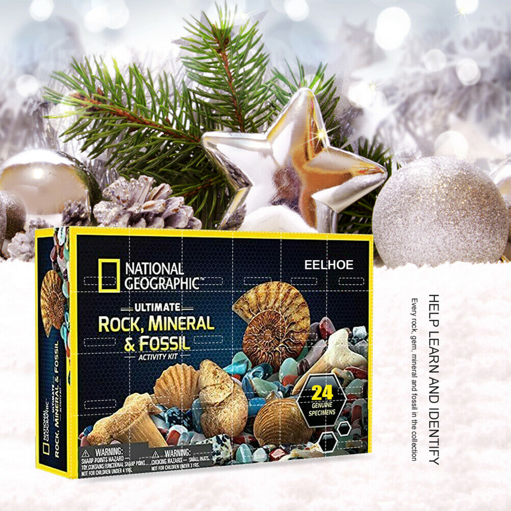 Christmas Advent Calendar Mineral Gift Box Funny Early Childhood Education Toys