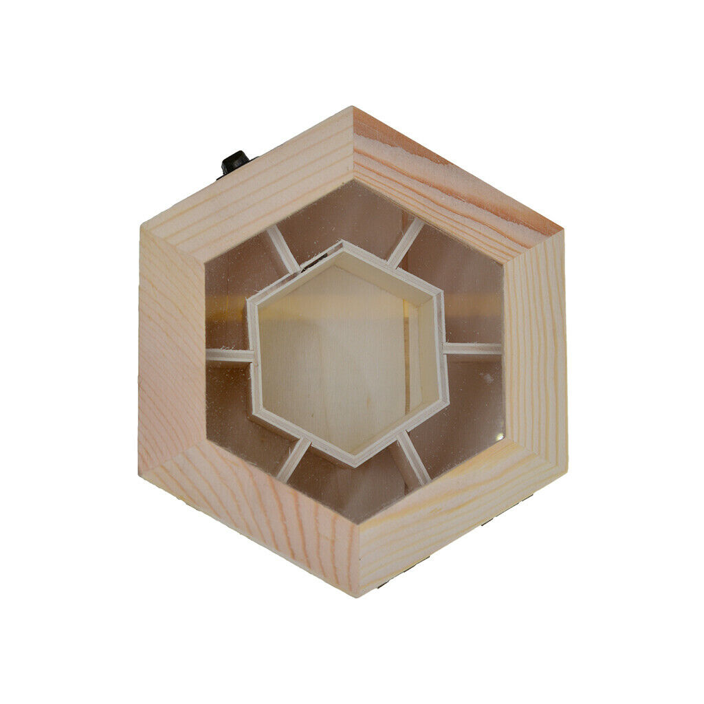 Natural Wood Box Unfinished Plain Wooden Jewelry Storage Case Art DIY Craft