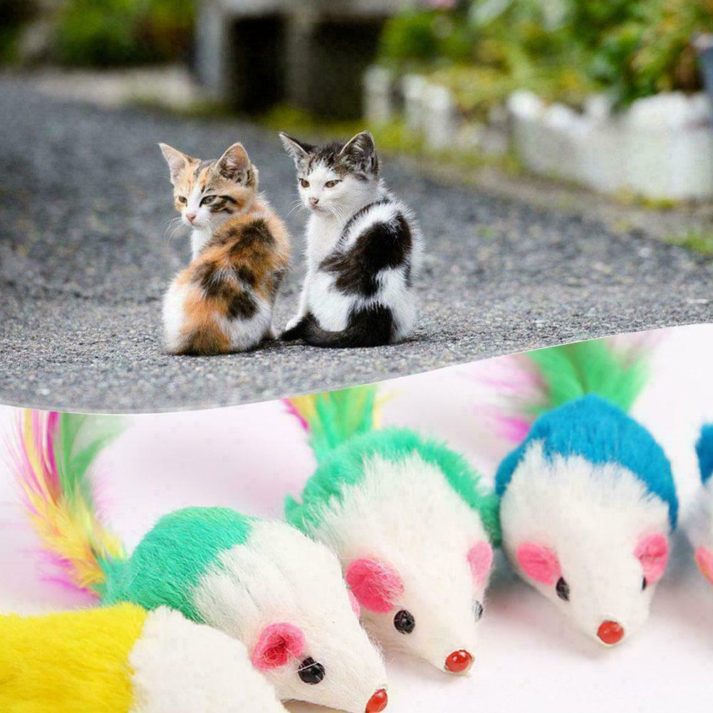 1Pcs Realistic Mouse Pet Cat Toys Mini Playing Toys with Feather Colorful new