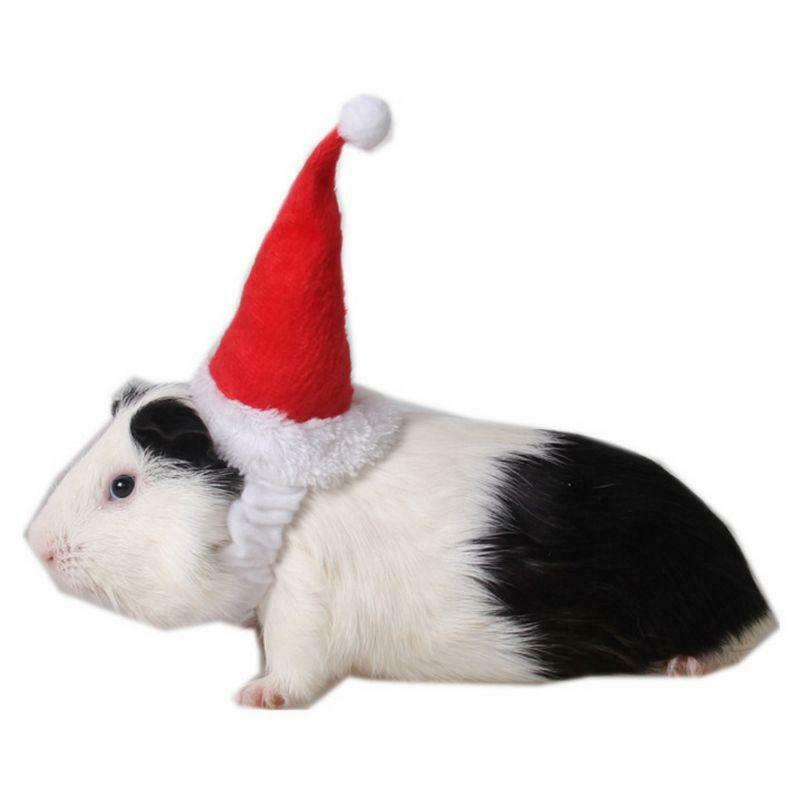 Small Animals Pet Santa Claus Hat Rabbit Hamster Guinea Pig Rats Christmas Cap