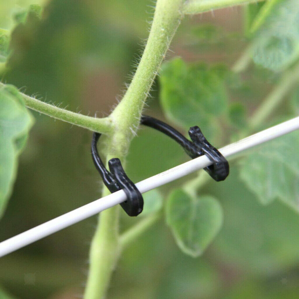 200pcs Vines Fastener Clips Grape Tomato Support Clips for Planting Plants