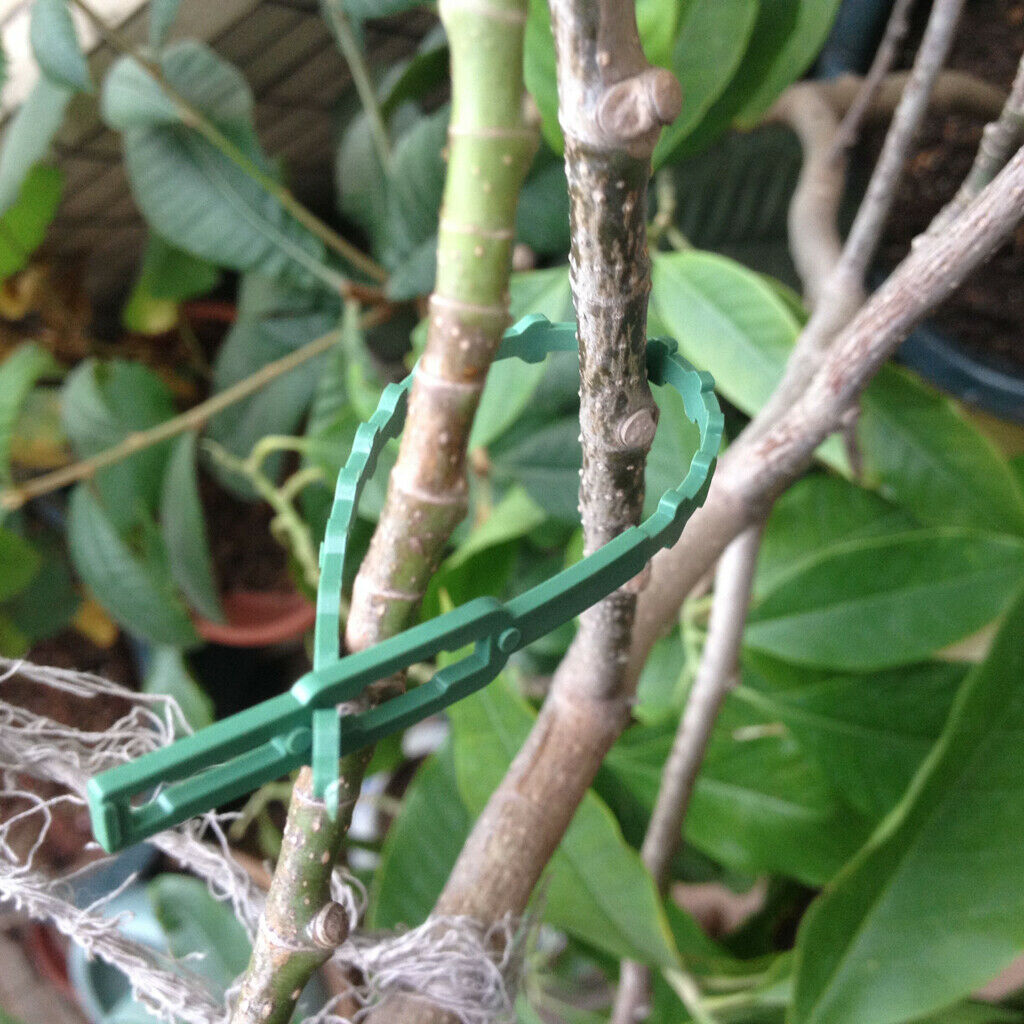 30pcs Green Garden Cable Ties Plastic Gardening Clips Climbers Twists Strips
