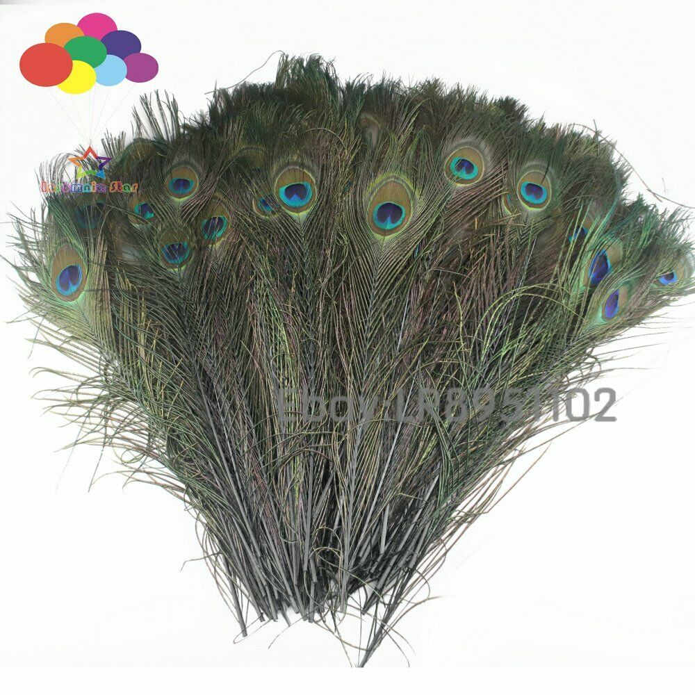 Wholesale Black dyed Peacock Feathers 100 Pcs/Lot 40-45CM/16-18Inch DIY Plumes