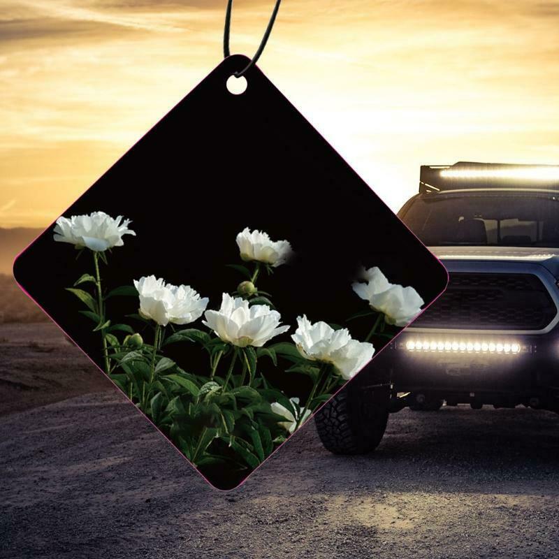 Scented Cards Air Freshener Hanging Automotive Smell Interior Decor for Locker