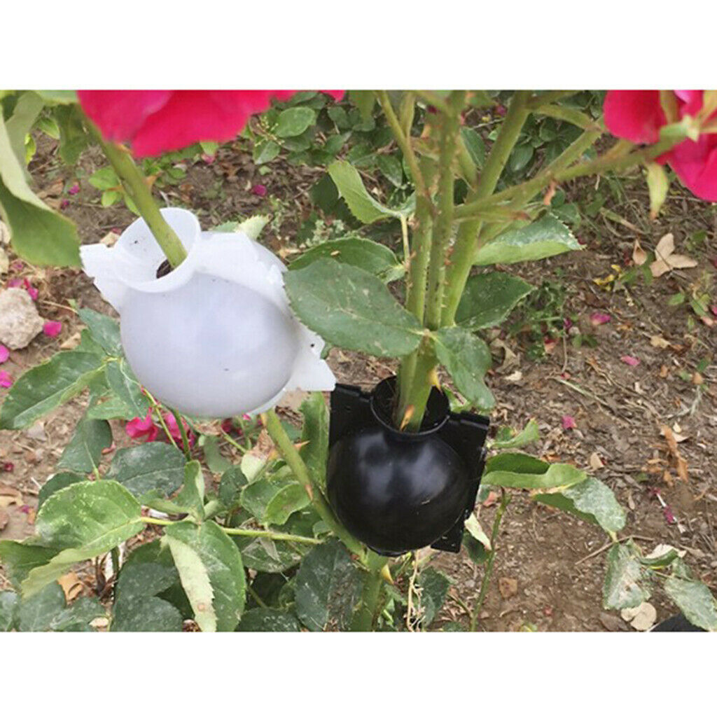 6pcs Reusable Plant Rooting Box Case Plant Rooting Device Propagation Ball