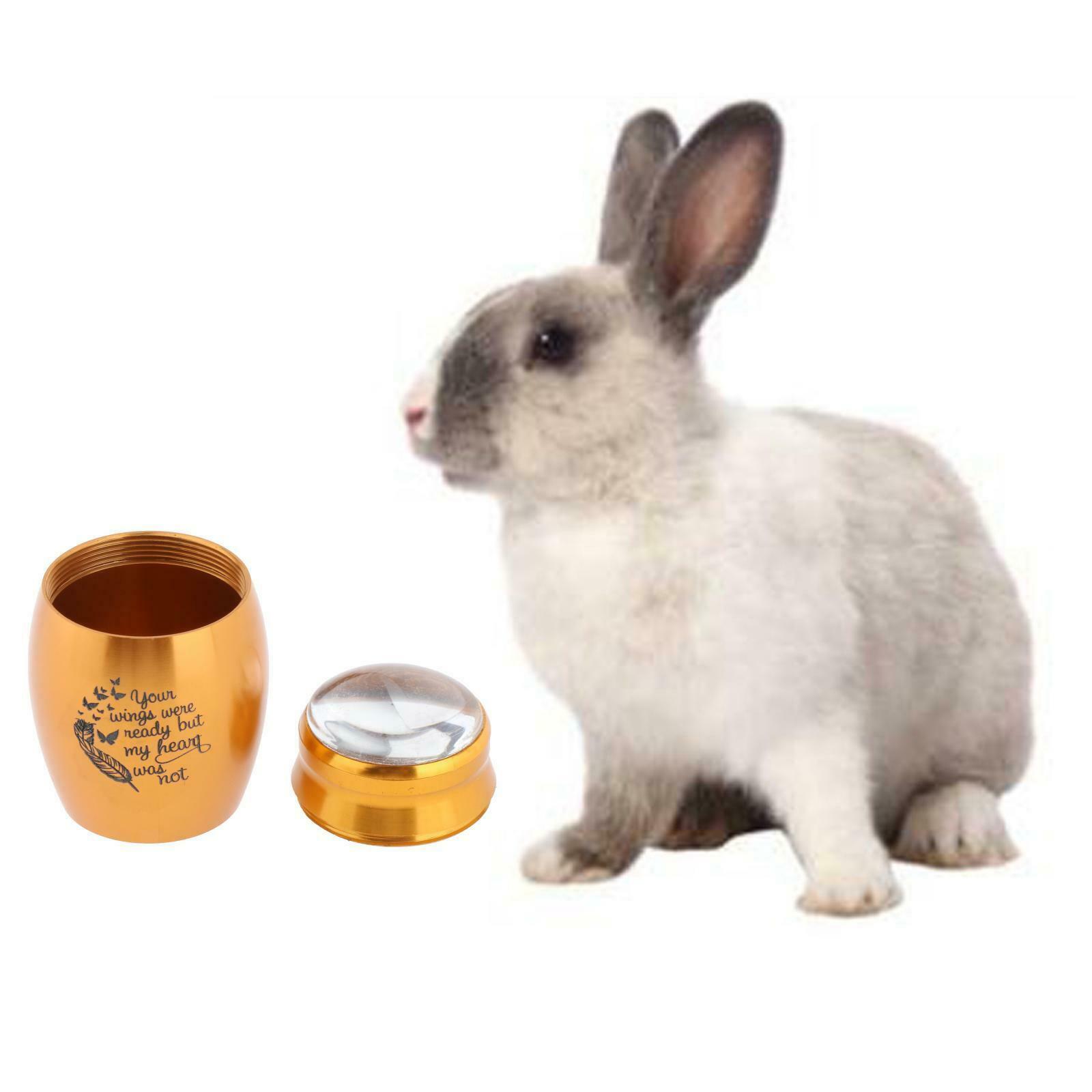 Stainless Steel Pet Keepsake Urn Mini Cremation Urns for Sharing Handcrafted