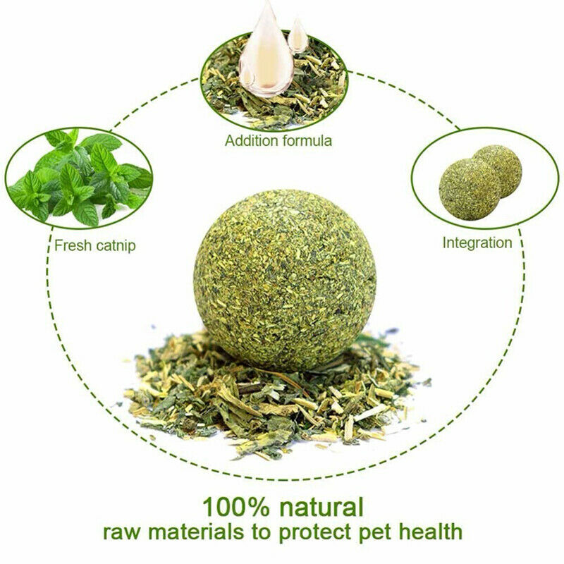 Catnip Chewing Teeth Cleaning Treats Lollipop Natural Catnip Lollipop Sh .l8