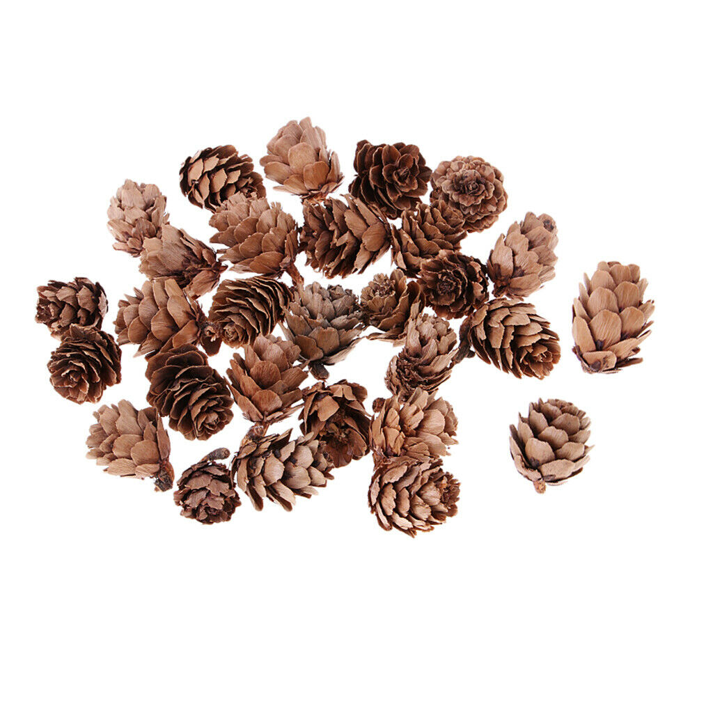 30x Pine Cones Premium Pinecones Wedding Party Embellishments Ornaments