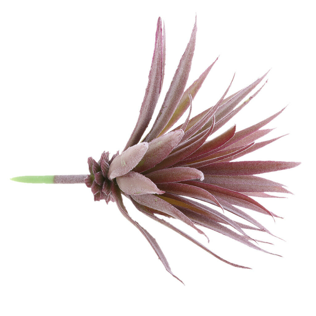 Artificial Succulent Plants Agave Titanota Cactus Simulation Flowers #5