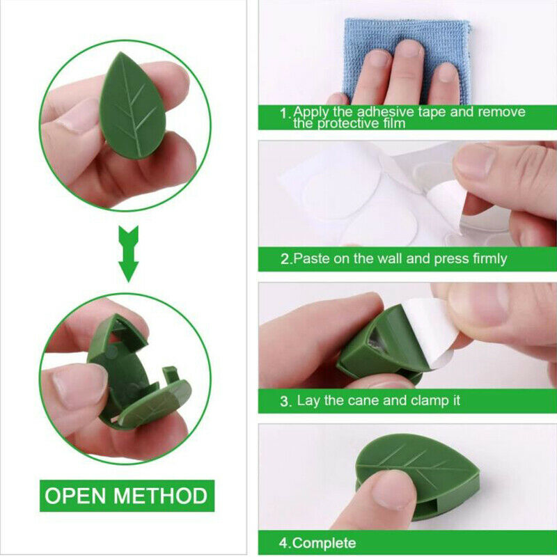 50PCS Plant Bracket Invisible Wall Rattan Clamp Clip Vine Climbing Sticky H JD