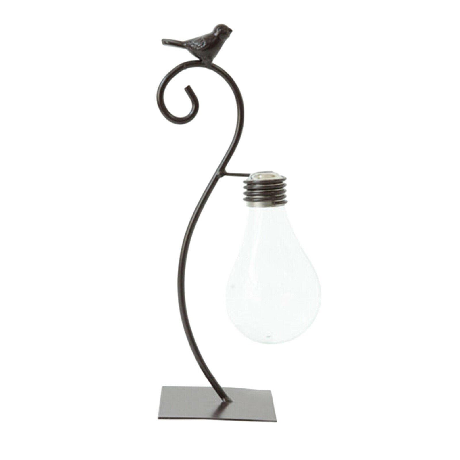 Glass Planter Shelf Bookcase Bulb Vase Stable Bird Terrarium Home Decor