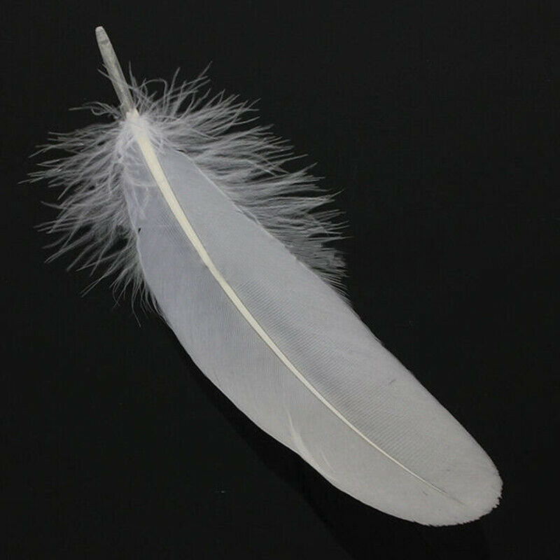 50X White Natural Goose Feathers Party Crafts DIY Decoration 6-8inch/15-20cm Kit