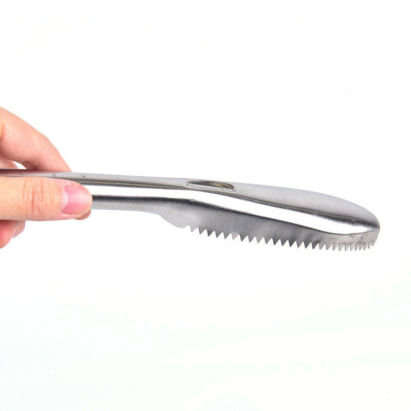 1PC Stainless Steel Fish Scale Remover Cleaner Scaler Scrapers & Kitchen .l8