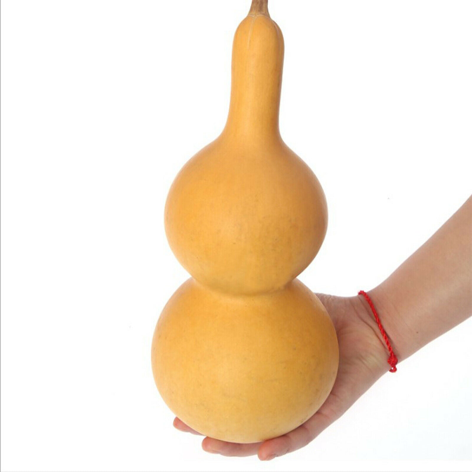 Real Tiny Dried Gourd Floral Kids Creative Painting Coloring Decoration