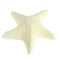 Pet Mineral Stone Natural Calcium Hamster Squirrel Starfish Shape Teeth Grinding