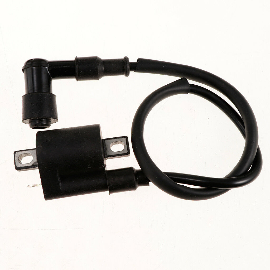 Complete Electrics Wiring Harness CDI for 150CC Pit Bike Scooter ATV Quad