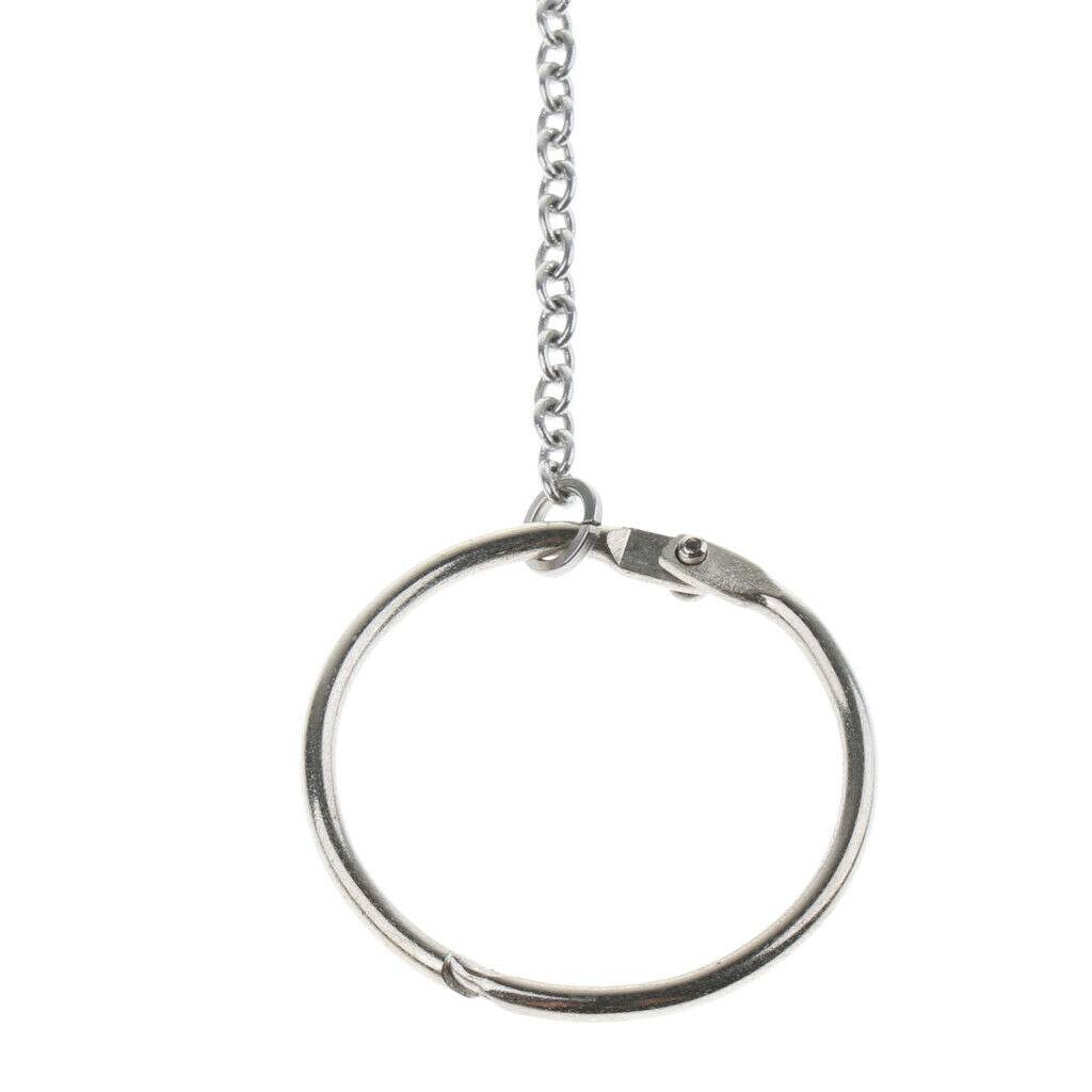 3x Stainless Steel Parrot Eight Bird Anklet Foot Chain