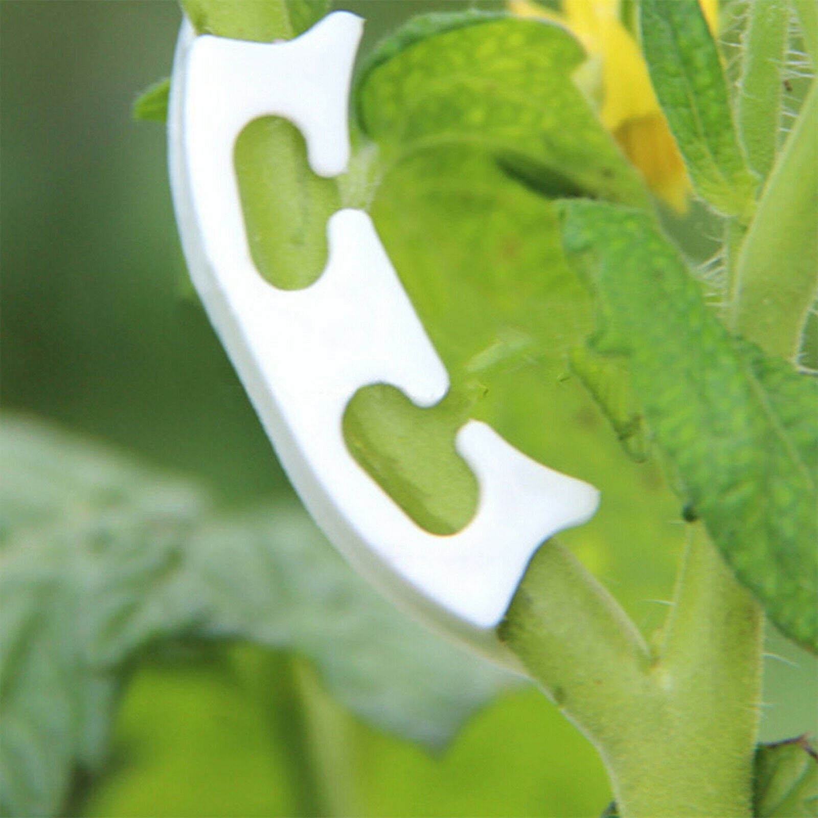 Tomato Vegetable Support J-hook Clips Anti Bending Stems Vegetables Pack Of 100