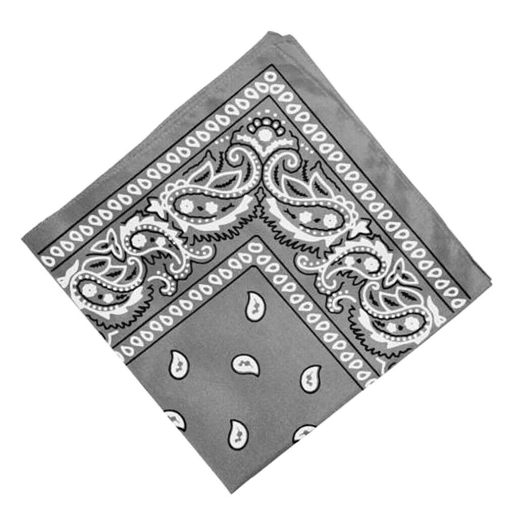 2Pcs Women Men Cotton Paisley Print Paisley Bandana Head Wrap Neck Hair Band