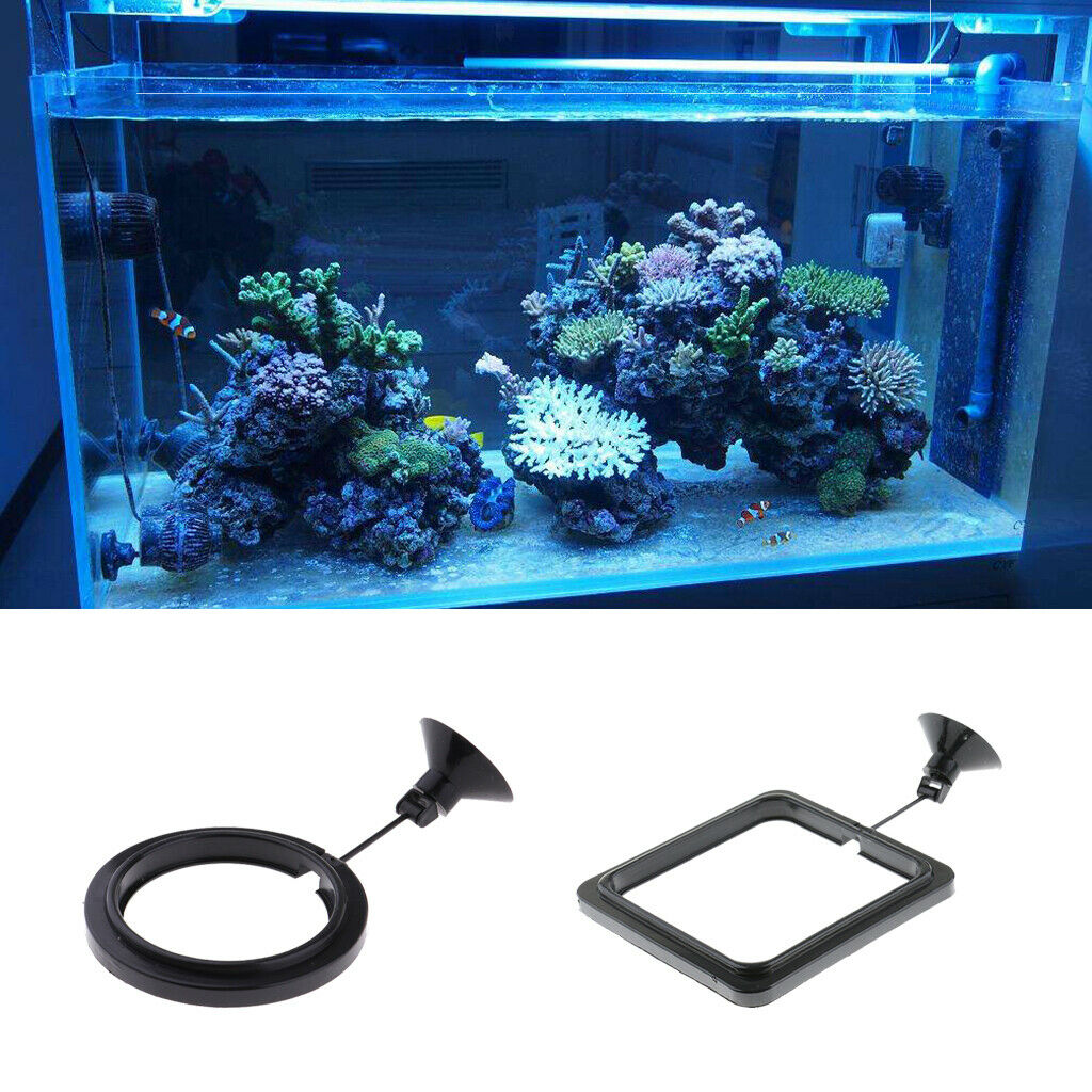 2 Pack Aquarium Fish Tank Fishes Feeding Ring Feeding Circle Square