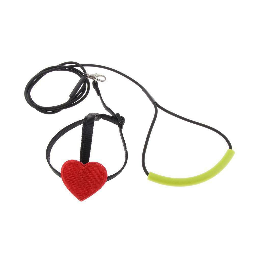 2 Pieces Parrots Birds Rope Parrots Harness Leash For Small Birds Finches