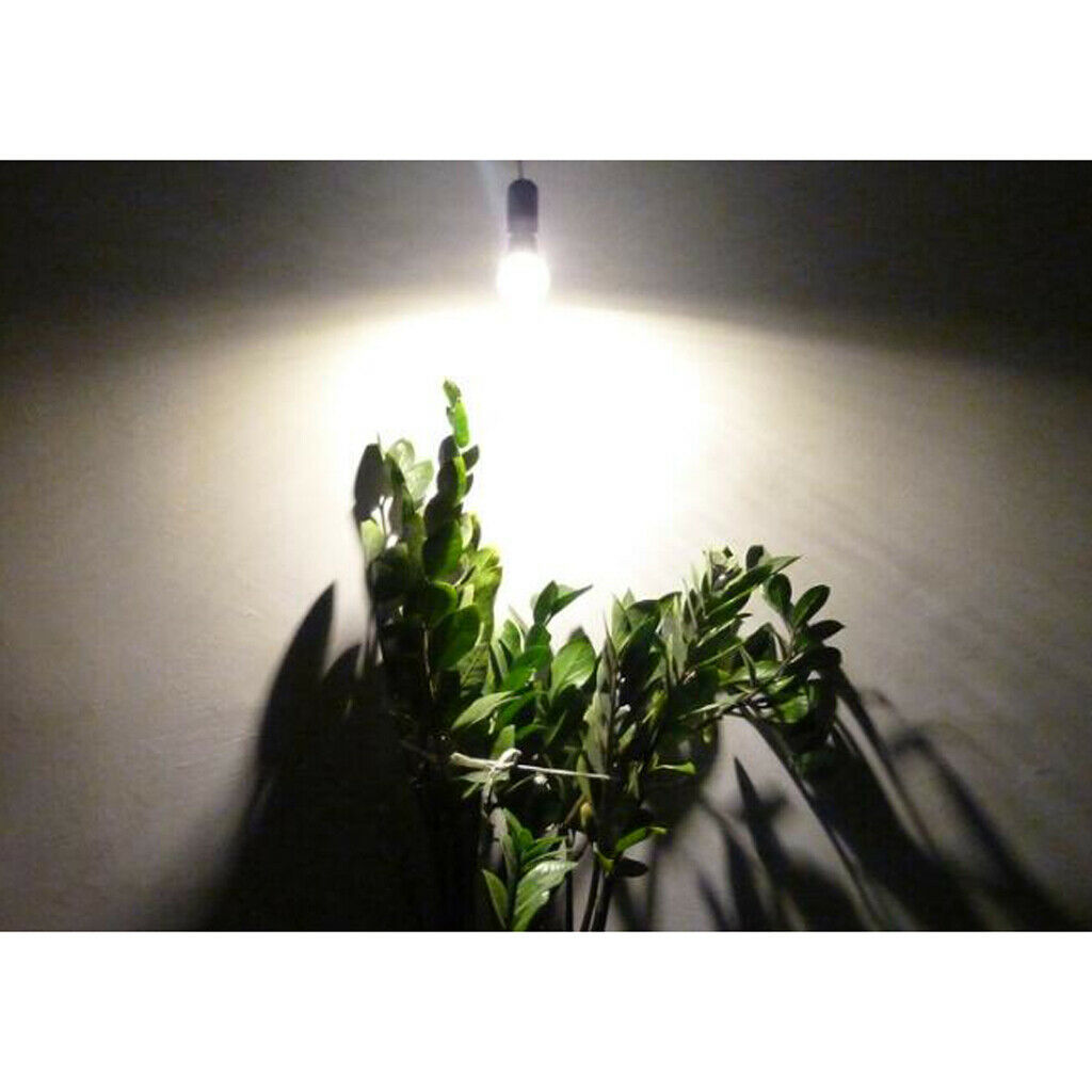 4-Pack 12W LED Growing Light Bulb for Rose Flowers Chrysanthemum, E27 Base, Warm
