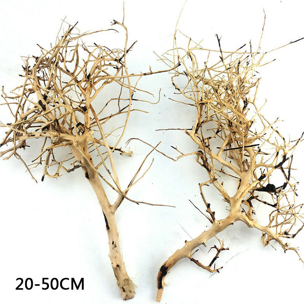 1PC Aquarium Driftwood Thai Branch Tree Plant Ornament Fish Tank Decor 20-50cm