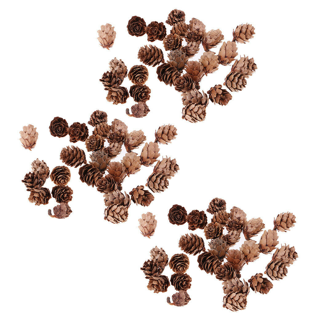90 Pieces Natural Pine Cones Decorative Pinecone Nuts Ornament Party Decor