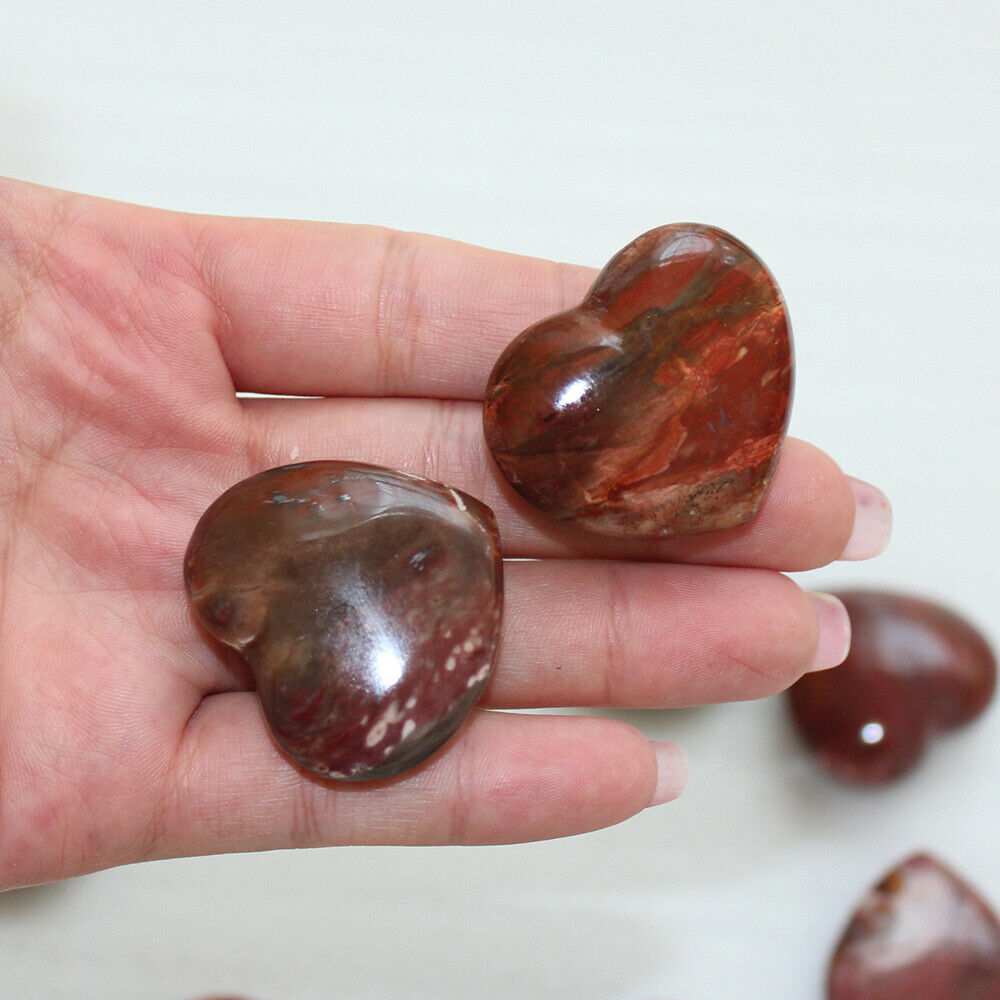 1PC Natural Red Petrified Wood Heart Fossilized Crystal Agate Mineral Madagascar