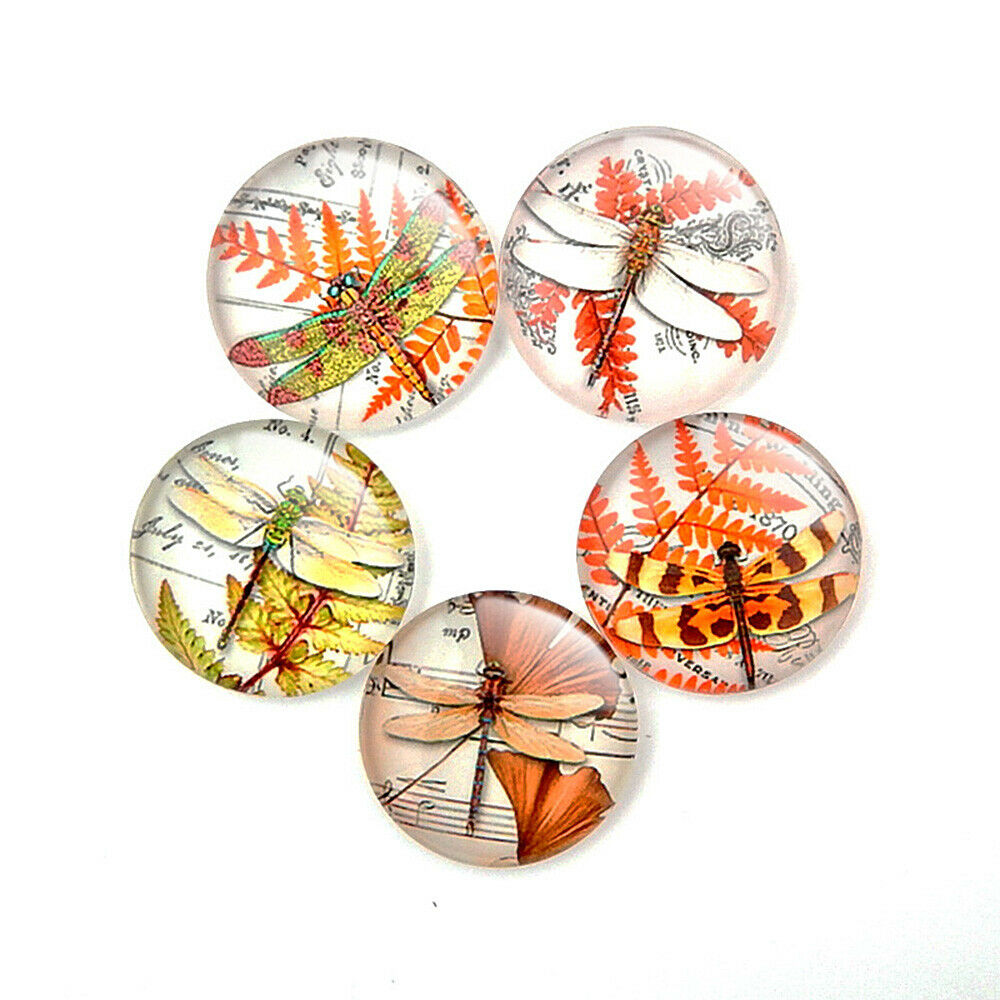 10x Round Insect Glass Magnet Needle Minder DIY Cross Stitch Embroidery Supplies