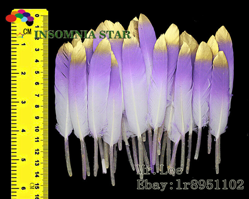 100pcs Beautiful Purple Colorful Natural Goose Feather 10-15cm/4-6 inches