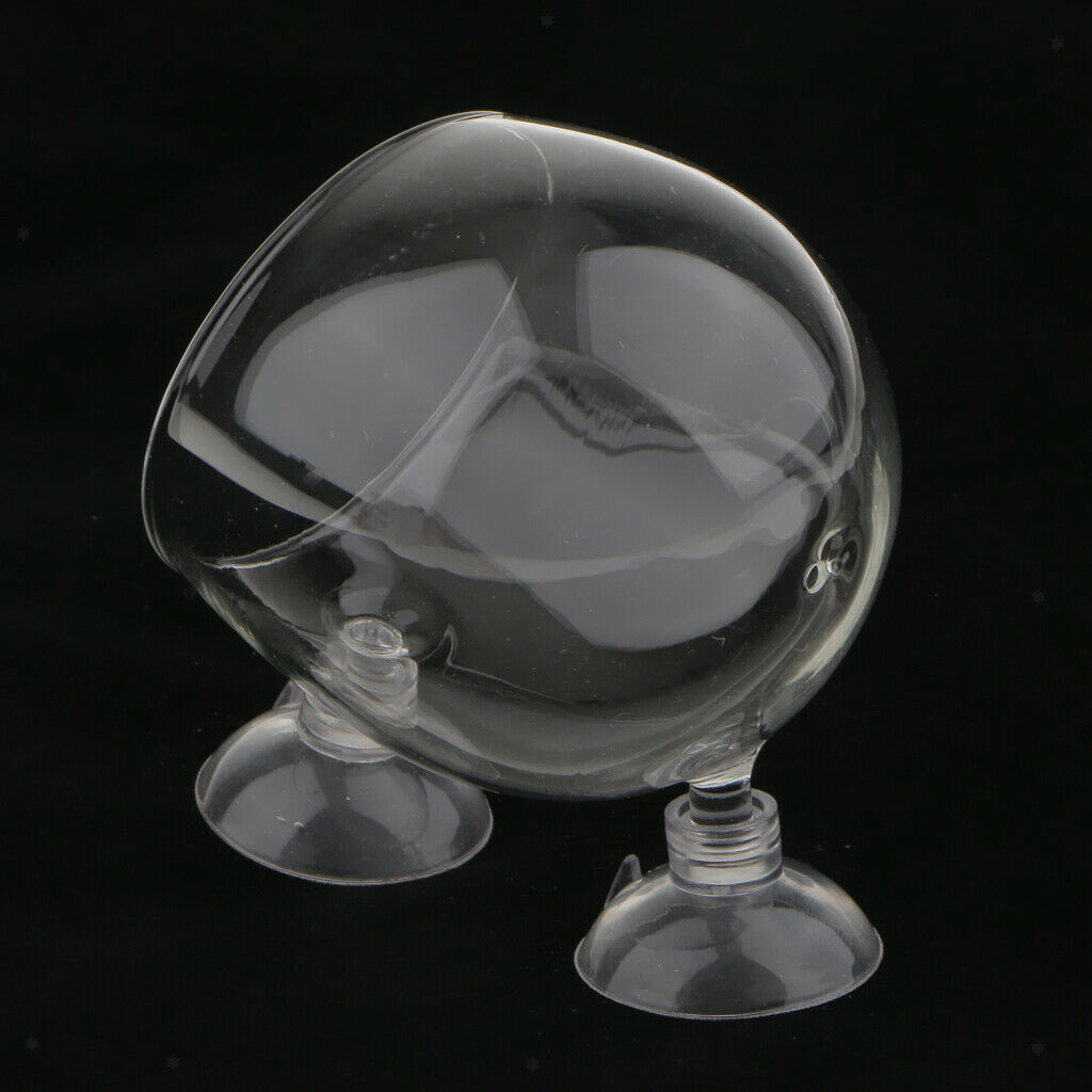 2x   Tank Decoration Aquatic Plant Crystal Glass Planter Wall Suction Cup