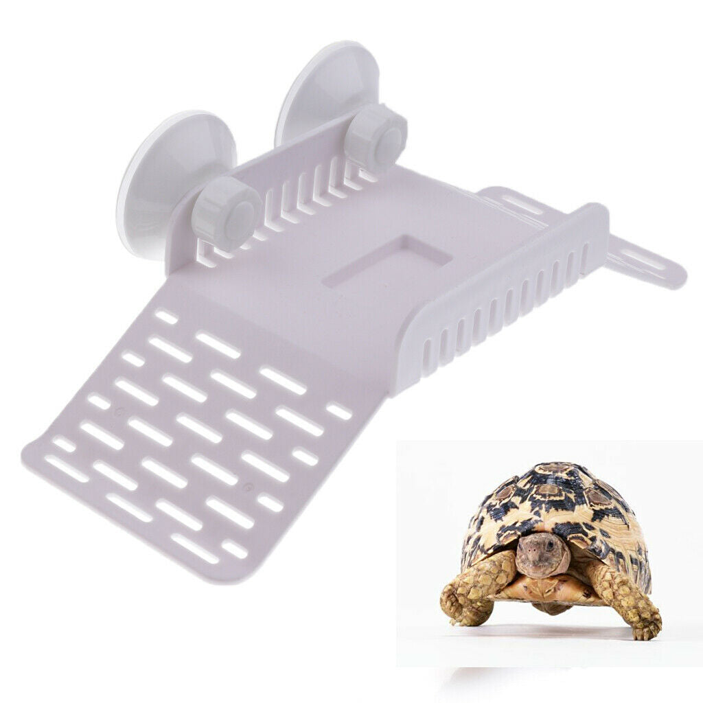 Turtle Pier, Plastic Tortoise Basking Platform for Semi Aquatic Animals - White