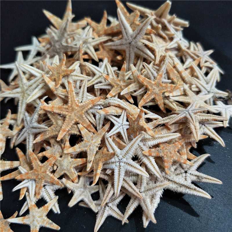 100Pcs Cute Small Mini Starfish Lot Sea Star Shell Beach Decor Craft DIY Making
