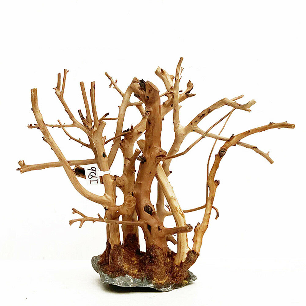 Small Forest Skeleton Wooden Branchâ€‹ Fish Tank Aquarium Landscape Ornament Decor