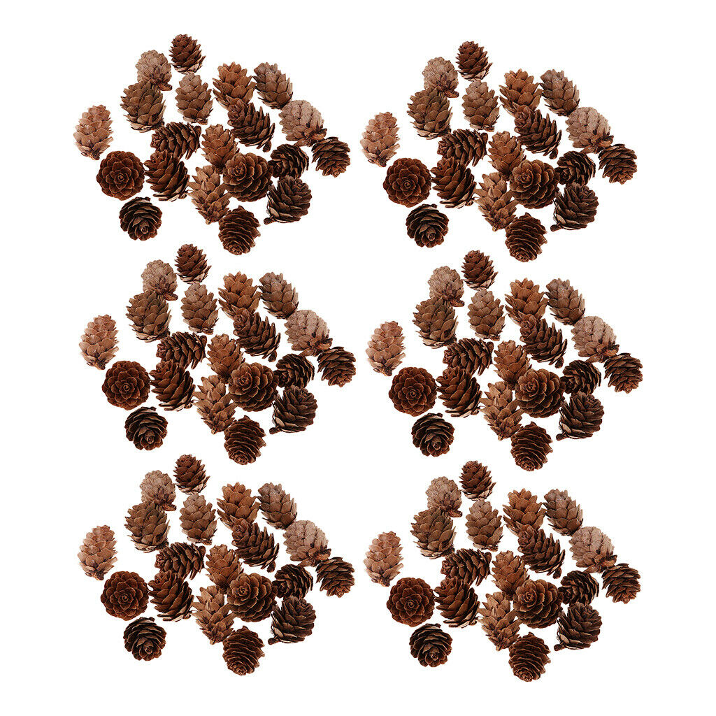 120pcs Pine Cones Decorative Premium Pinecones Home Party DIY Embellishments
