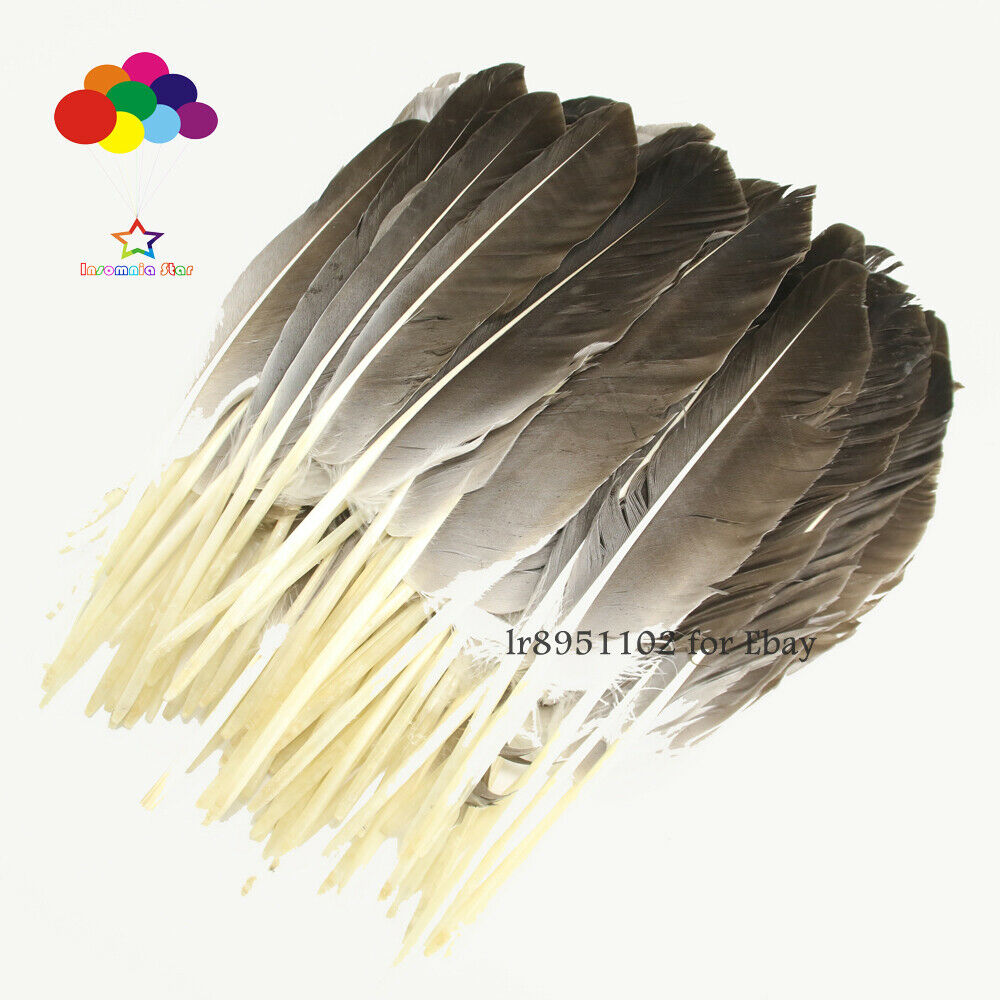 New 100 pcs precious wild turkey Duck wings feathers 25-30CM/10-12 inches