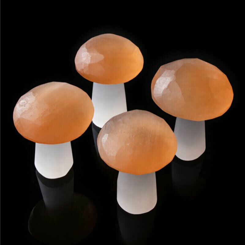 1pc Natural Selenite Quartz Crystal Polished Mushroom Stones Home Decoratiol XC