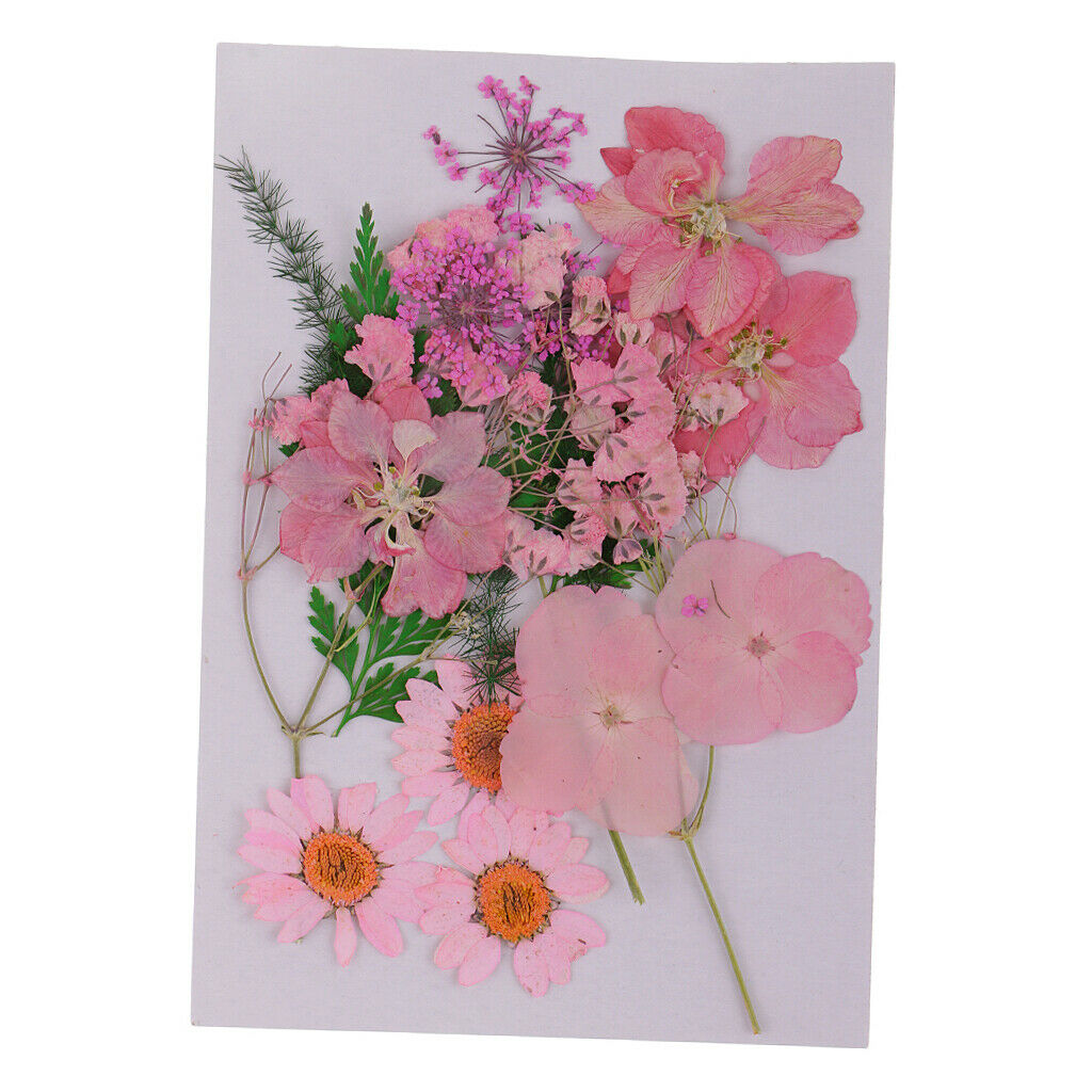 2Bag Multiple Mix Natural Pressed Dried Flowers Leaves DIY Arts Crafts 2.5-3.5cm
