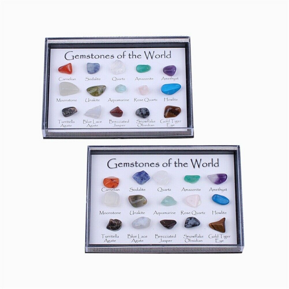 15 Pcs Mini Natural Crystal Agate Stone Rocks Minerals Fossils for Kids Teaching