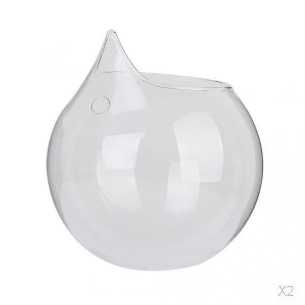 2x Flower Plant Hanging Clear Glass Vase Bottle Pot Wedding Garden Ball Decor