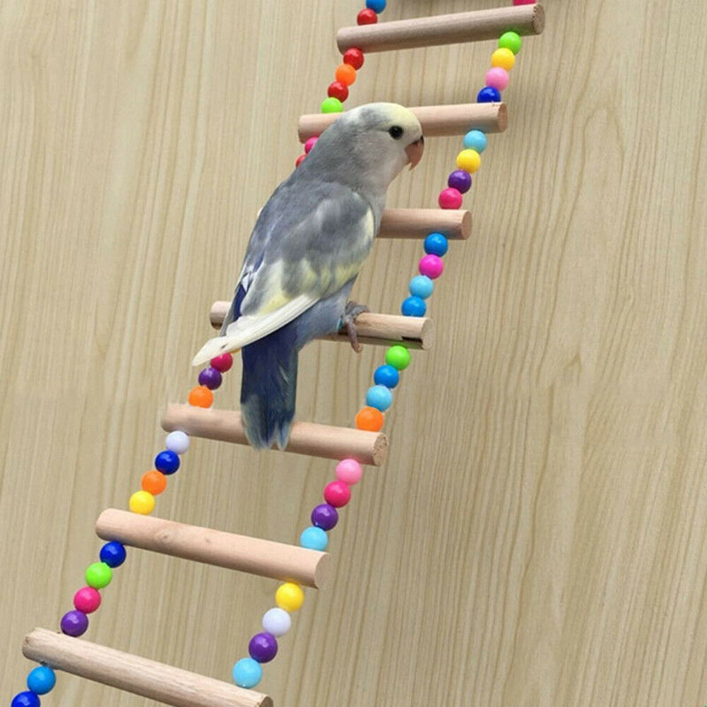 Pet Parrot Ladder Hanging Colorful Balls Wooden Bird Climbing Stairs Perch @