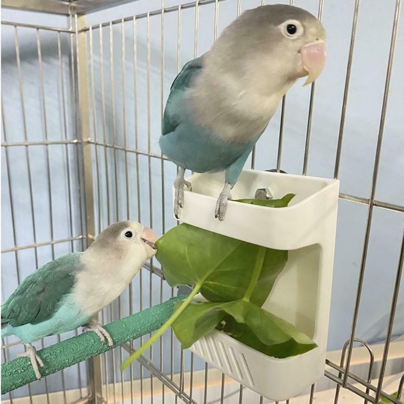 Bird Vegetable Holder Parrot Feeder Toys Hanging Grass Basket for Bunny Rabbit