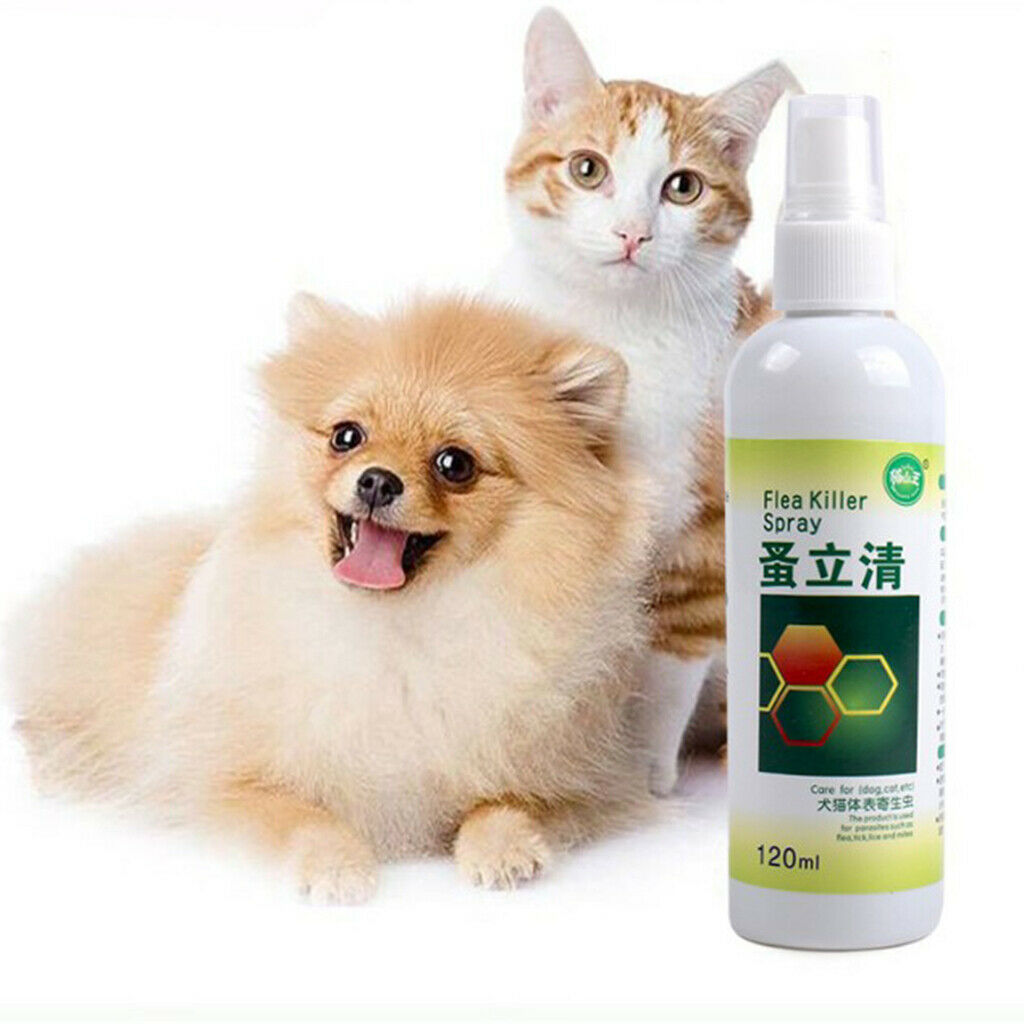 2Pieces 120ml Pet Flea Killer Spray Flea Cat Dogs Treatment for Cat Dogs