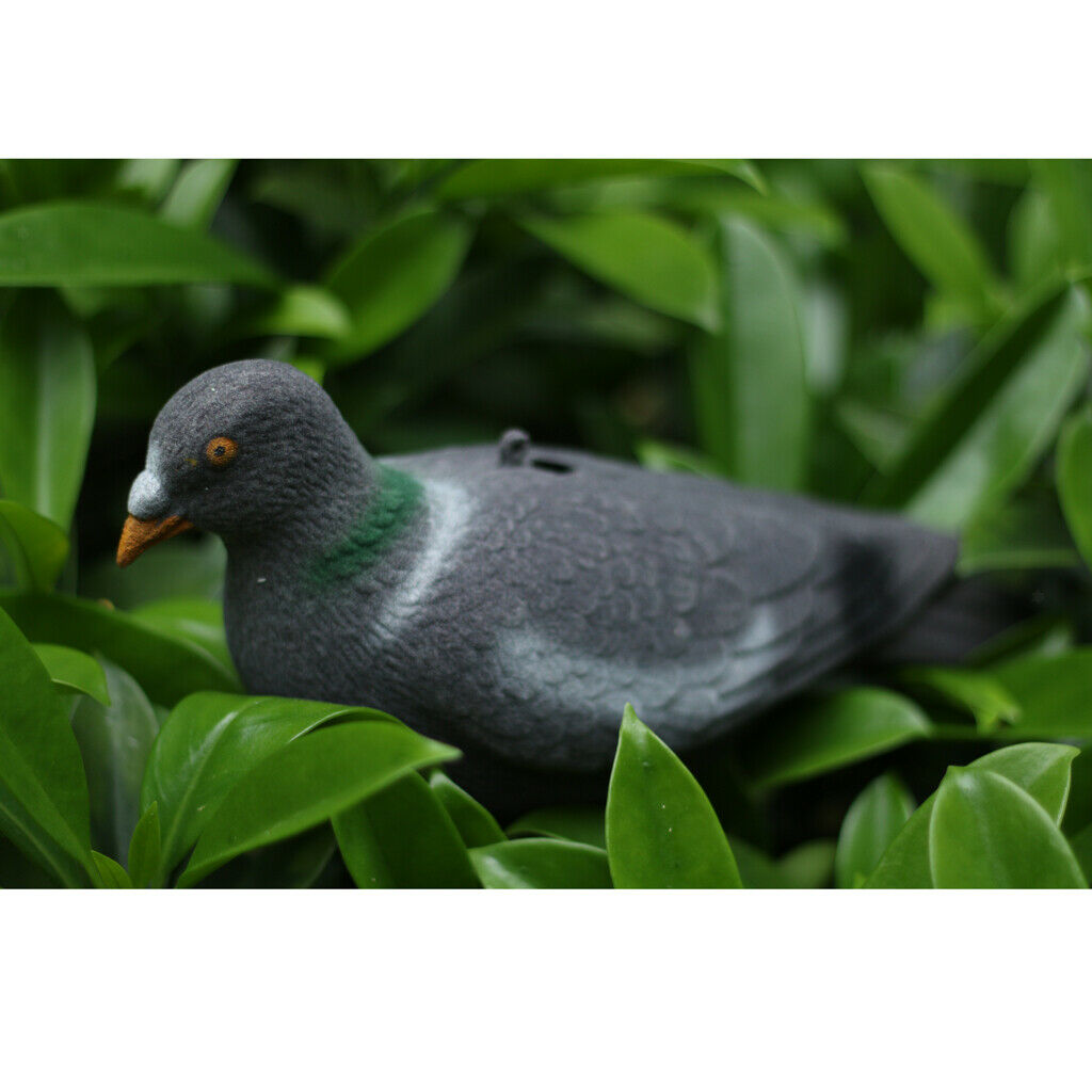 It's like a real artificial pigeon garden decoration decoy decoration