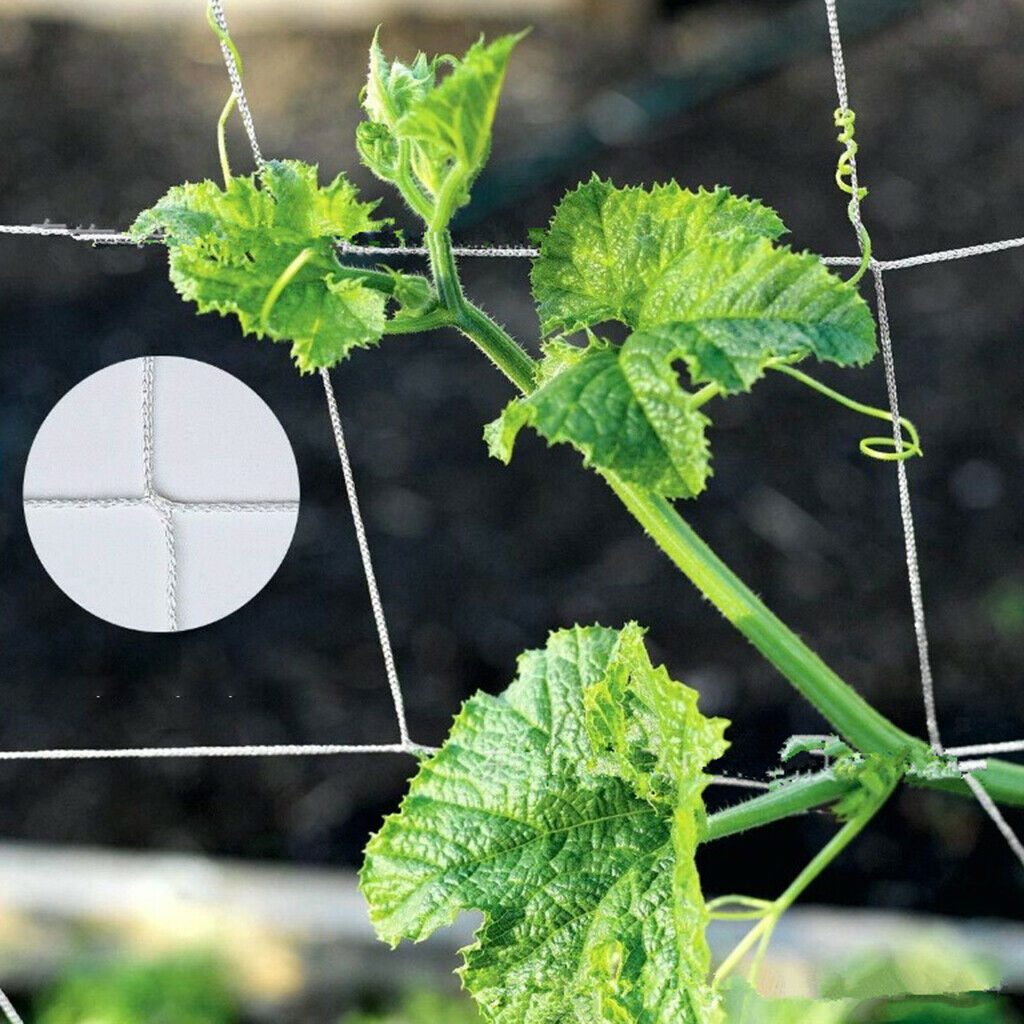 2x Garden Cucumber Flower Veggie 10m 32.8ft Plants Trellis Climbing Net