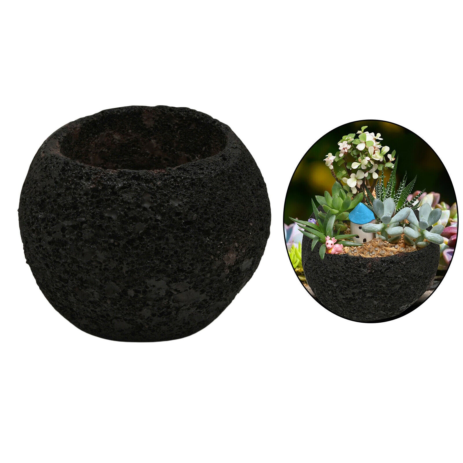 Flower Pot Succulent Planters Succulent Pots Office Home Garden
