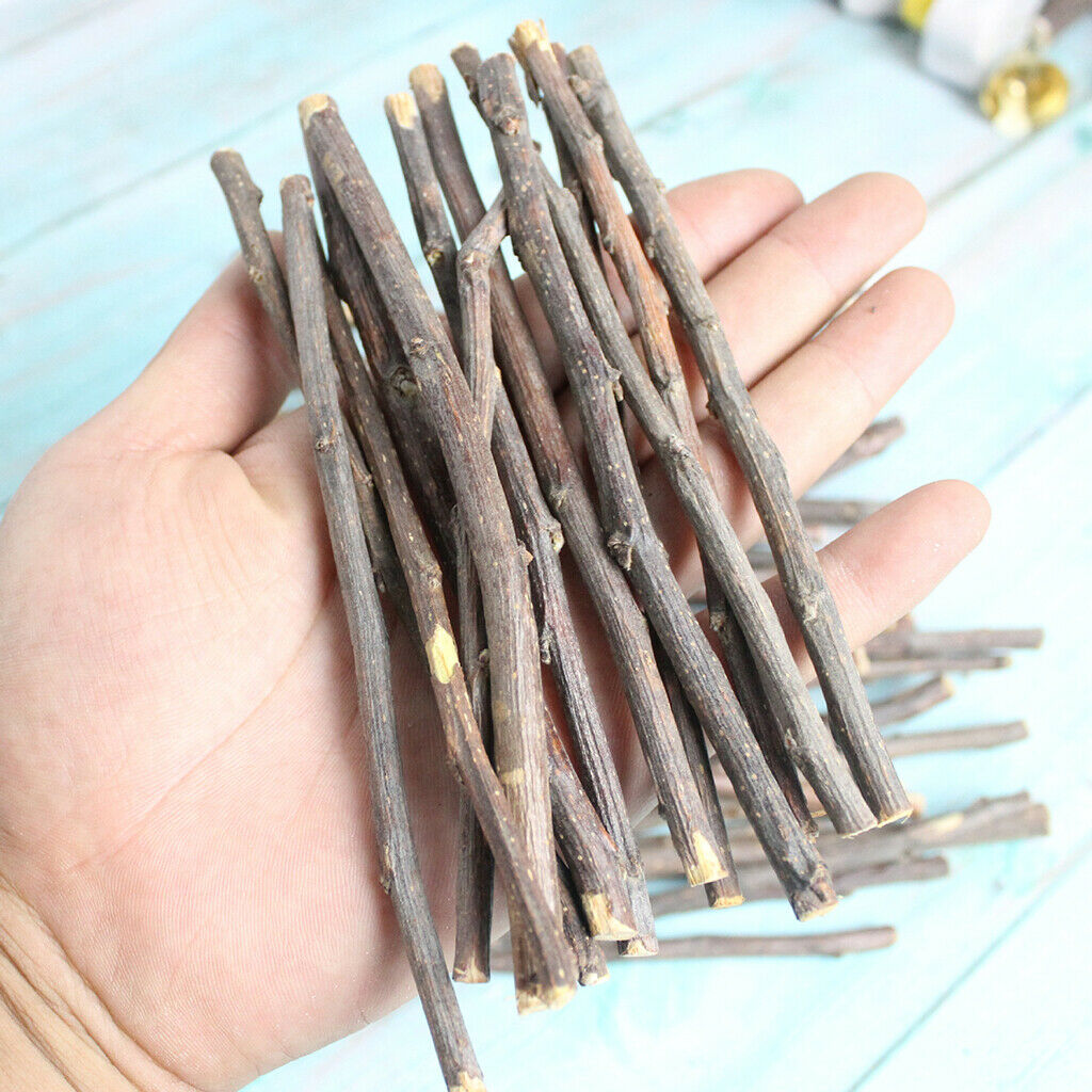 Wood Chew Sticks for Hamster Rabbits Chinchillas Squirrels Rodent Animals