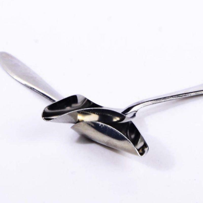 5Pcs Baby Bird Pointed Feeding Spoon Stainless Steel Milk Medicine Parrot Feeder